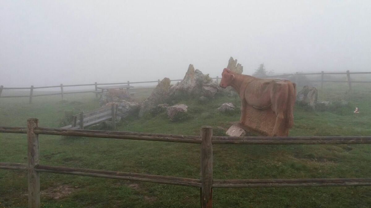 The statue of the cows of Los Machucos
