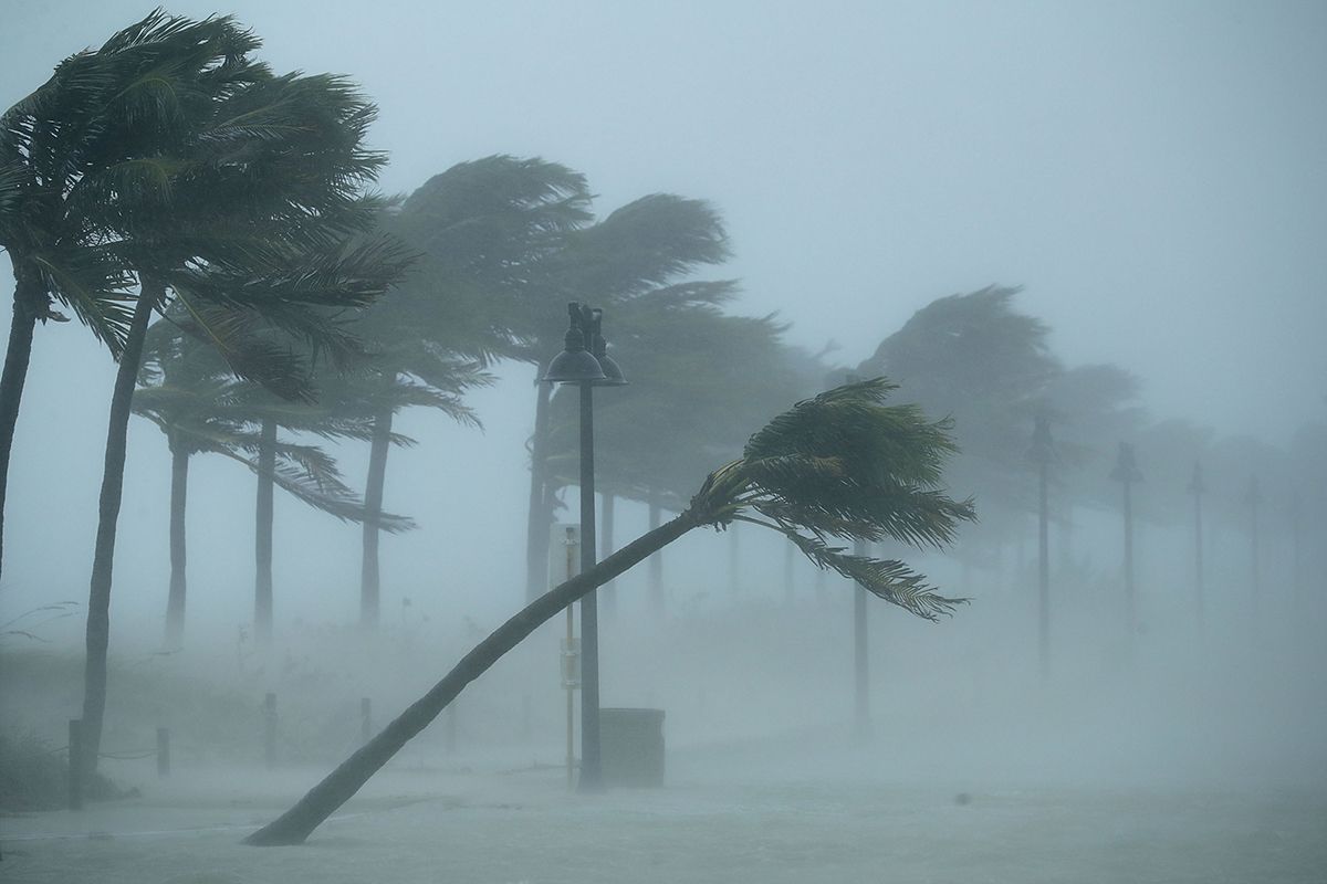 Storm winds from Irma bowed trees along North Fort Lauderdale Beach Boulevard, as Hurricane Irma struck Fort Lauderdale, Florida, on Sept. 10.