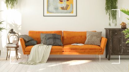  picture of a white living room with a orange velvet sofa wooden sideboard and plenty of houseplants