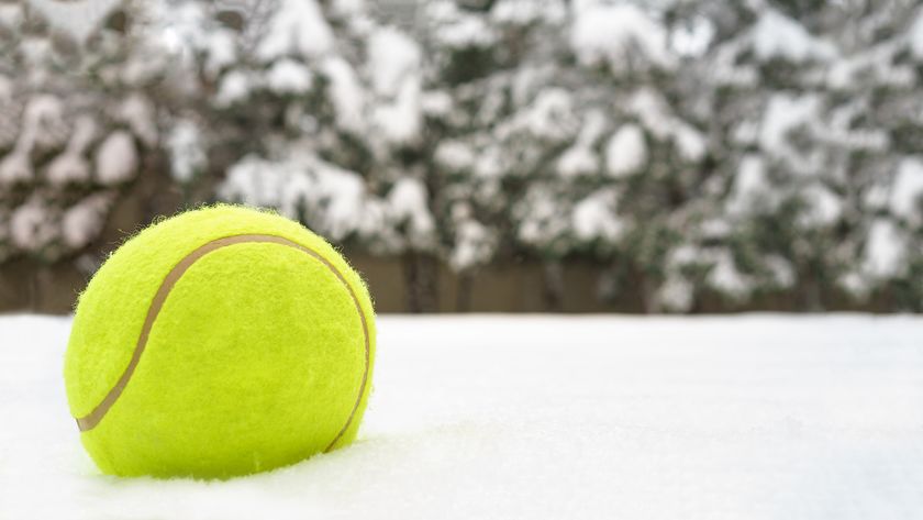 Tennis ball on snow