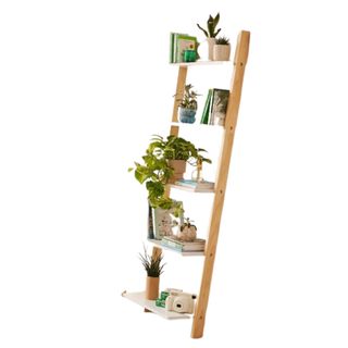 A ladder bookshelf with books and plants on it