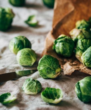 Monty Don's brussels sprouts tips