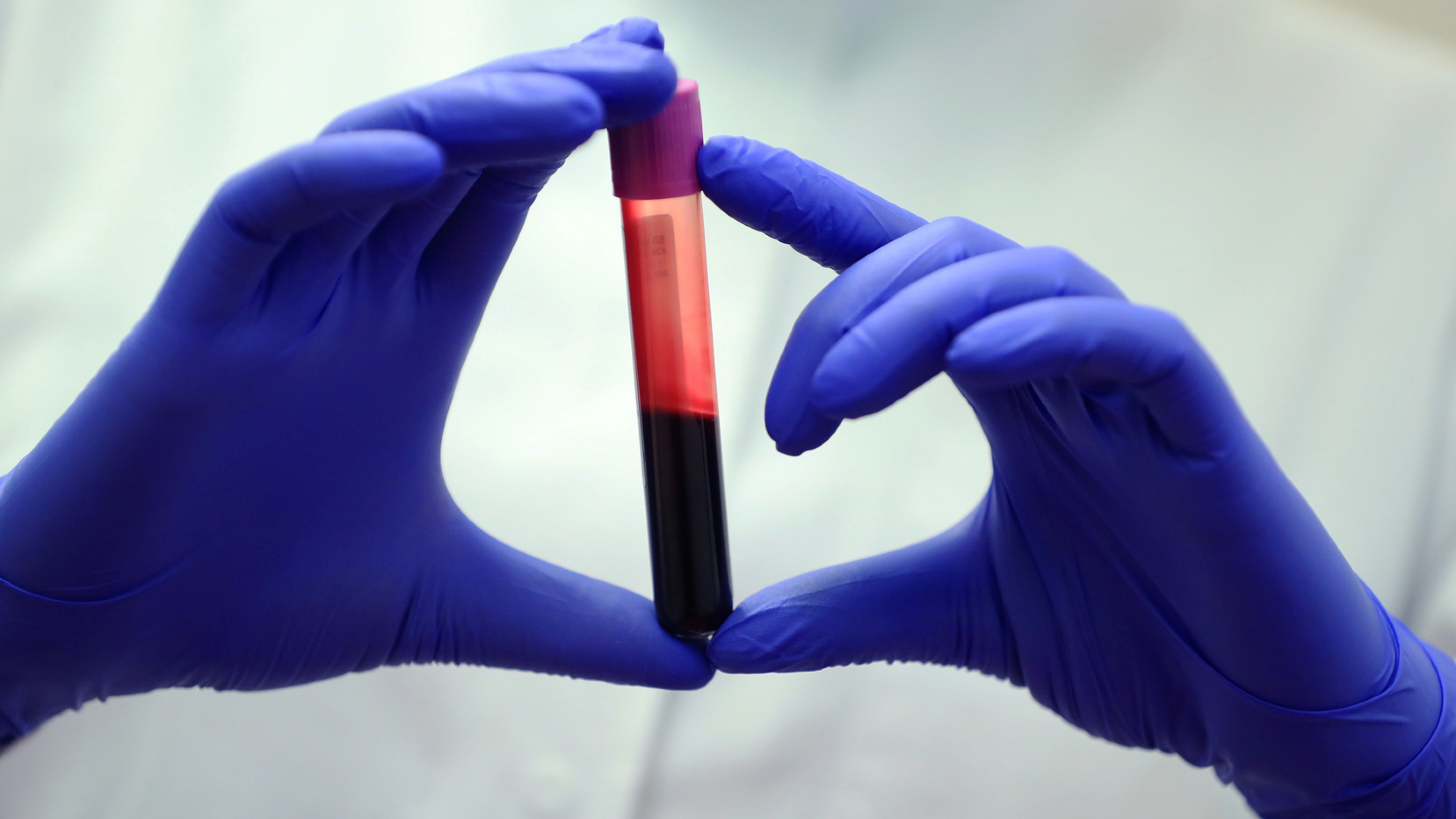A person wearing all white holds a plastic tube with a pink cap half full of reddish liquid in their two hands covered in purple nitrile gloves. 