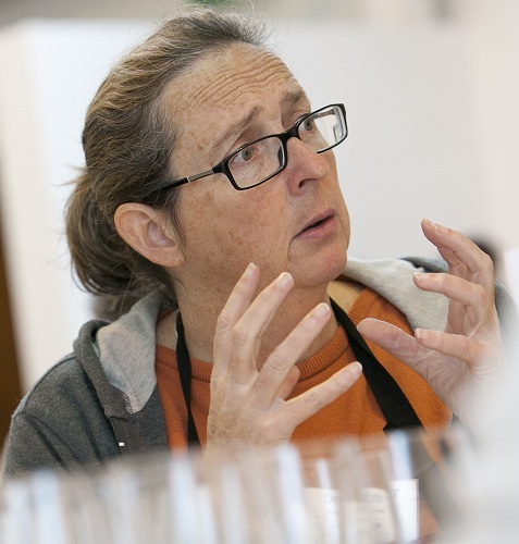 Fiona McDonald DWWA Judge 2013