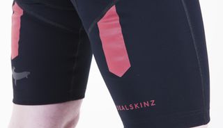 Sealskinz Waterproof Cycling bibshorts