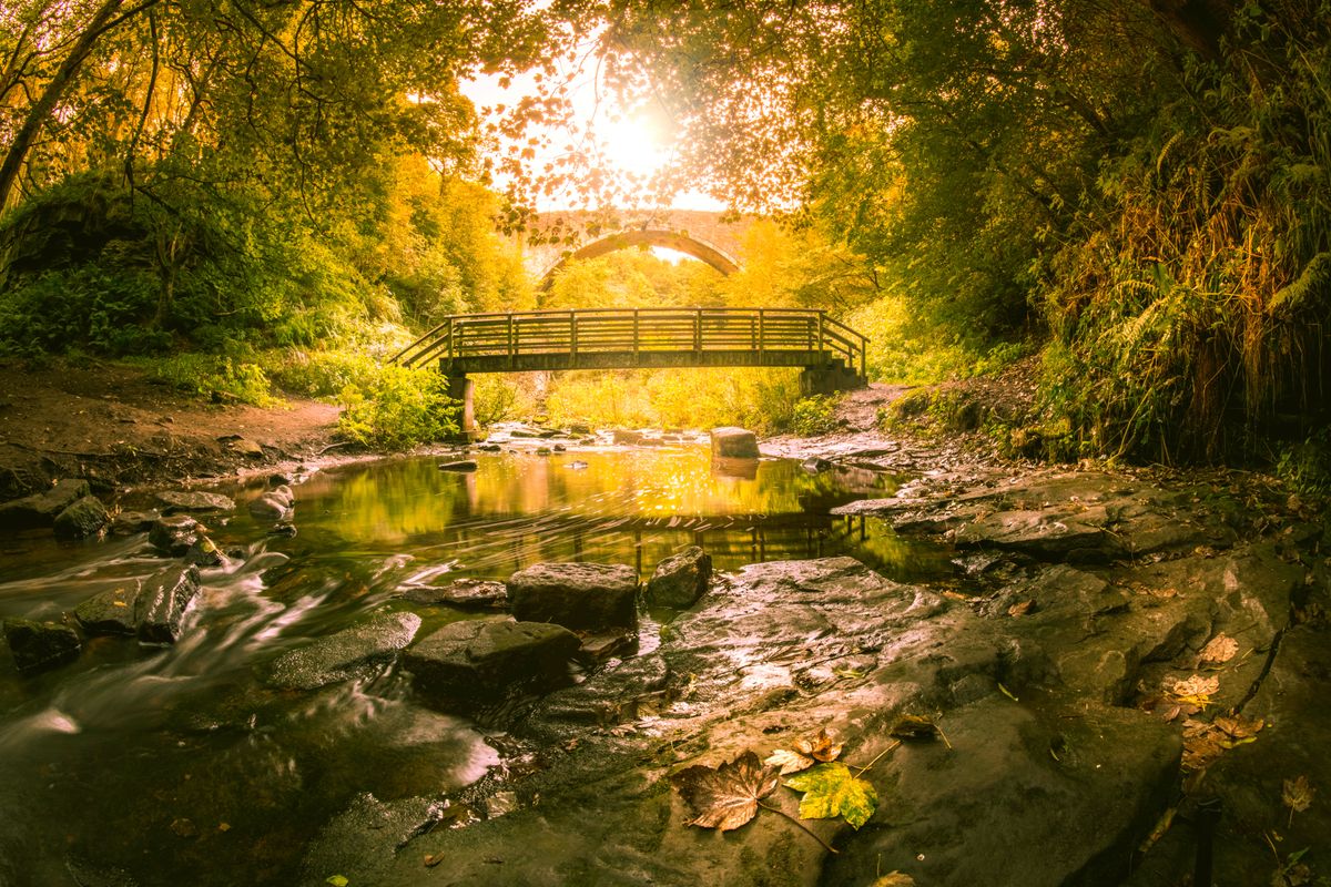 Fisheye fantastic! Use a fisheye lens for &#039;serious&#039; landscape photography