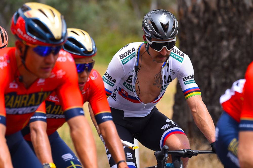 Peter Sagan suffered in the heat during stage 2 in Australia