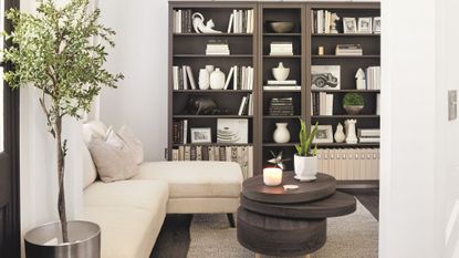 living room in white with black bookcase