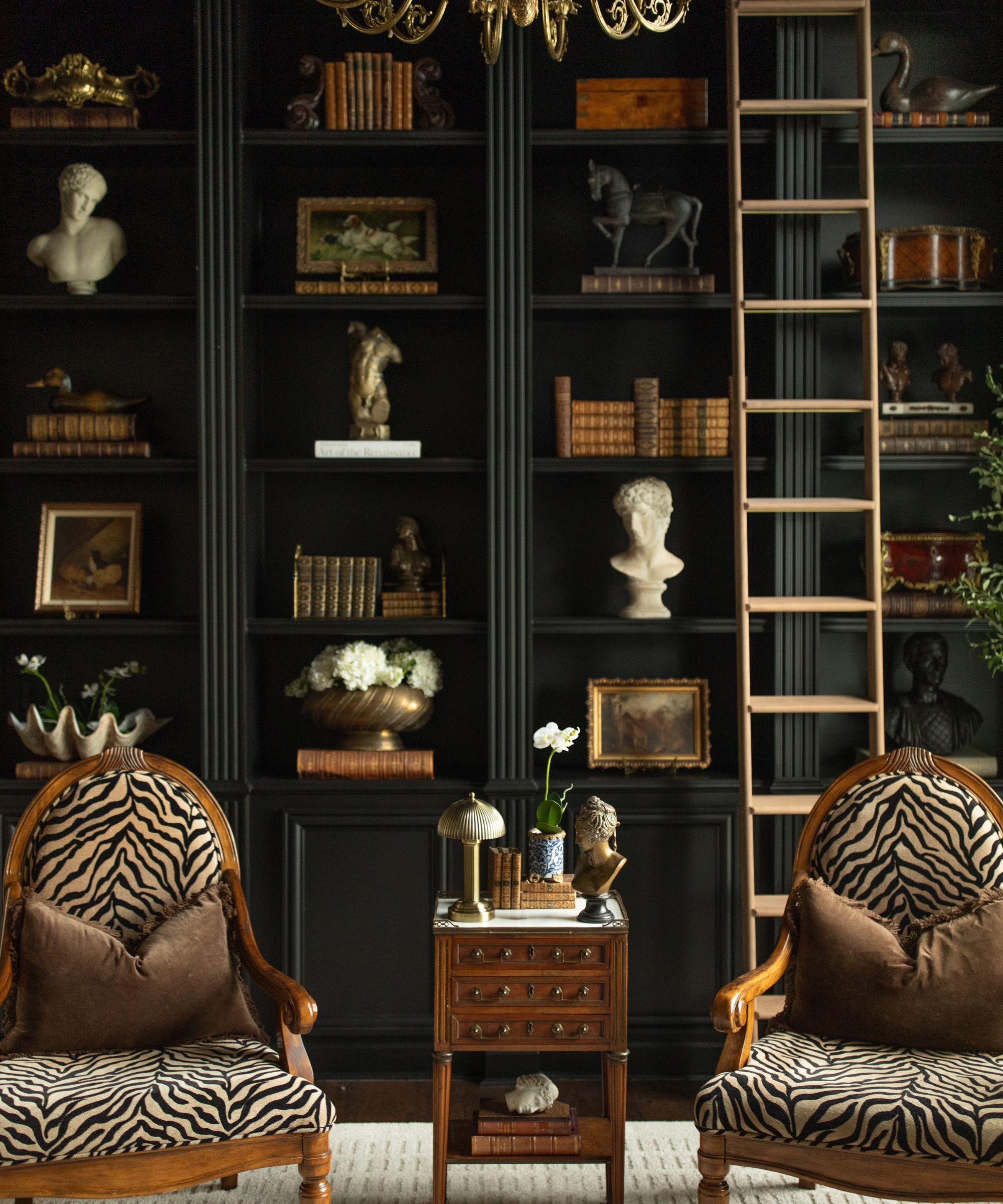 Library with black-painted bookcase, Zebra print armchairs, books and wooden ladder