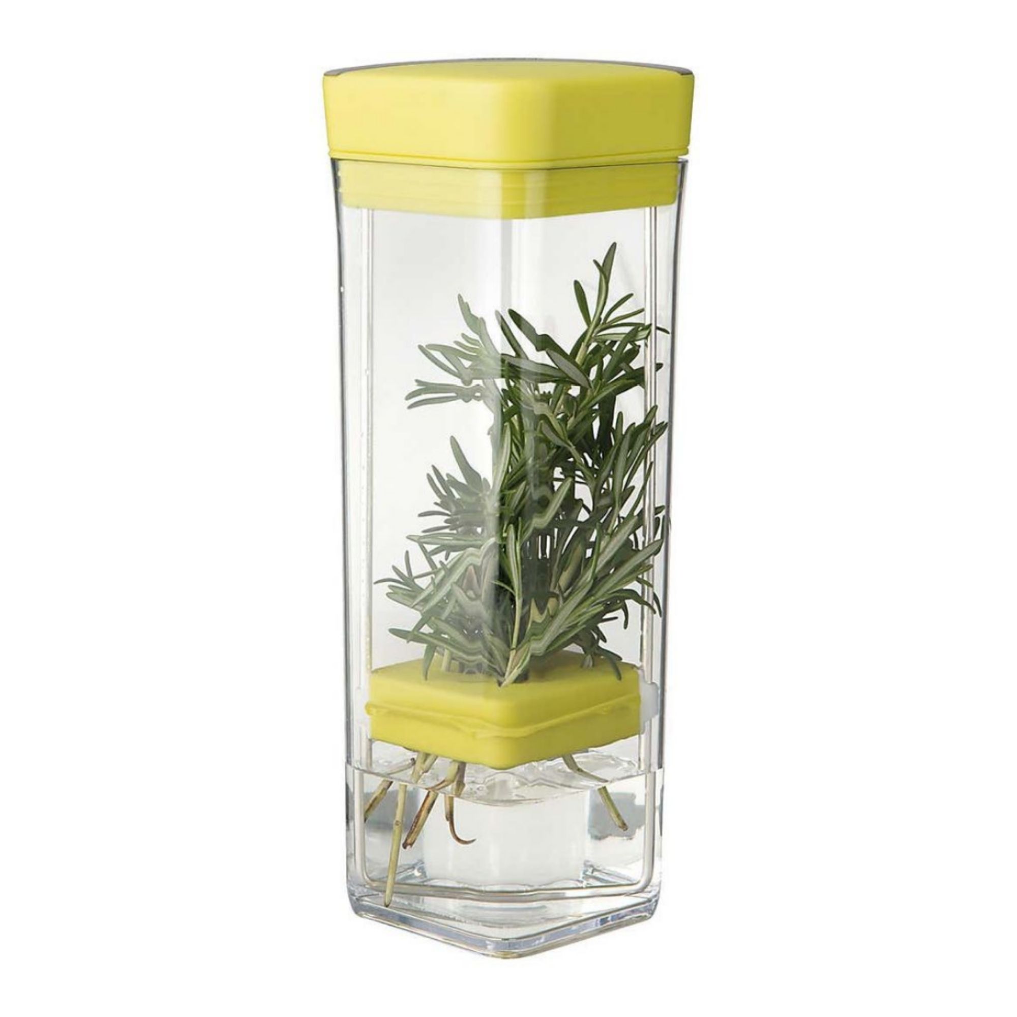 Chef'n Herbfresh Fresh Herb Storage
