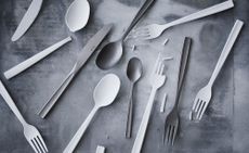 Plastic spoon and fork 