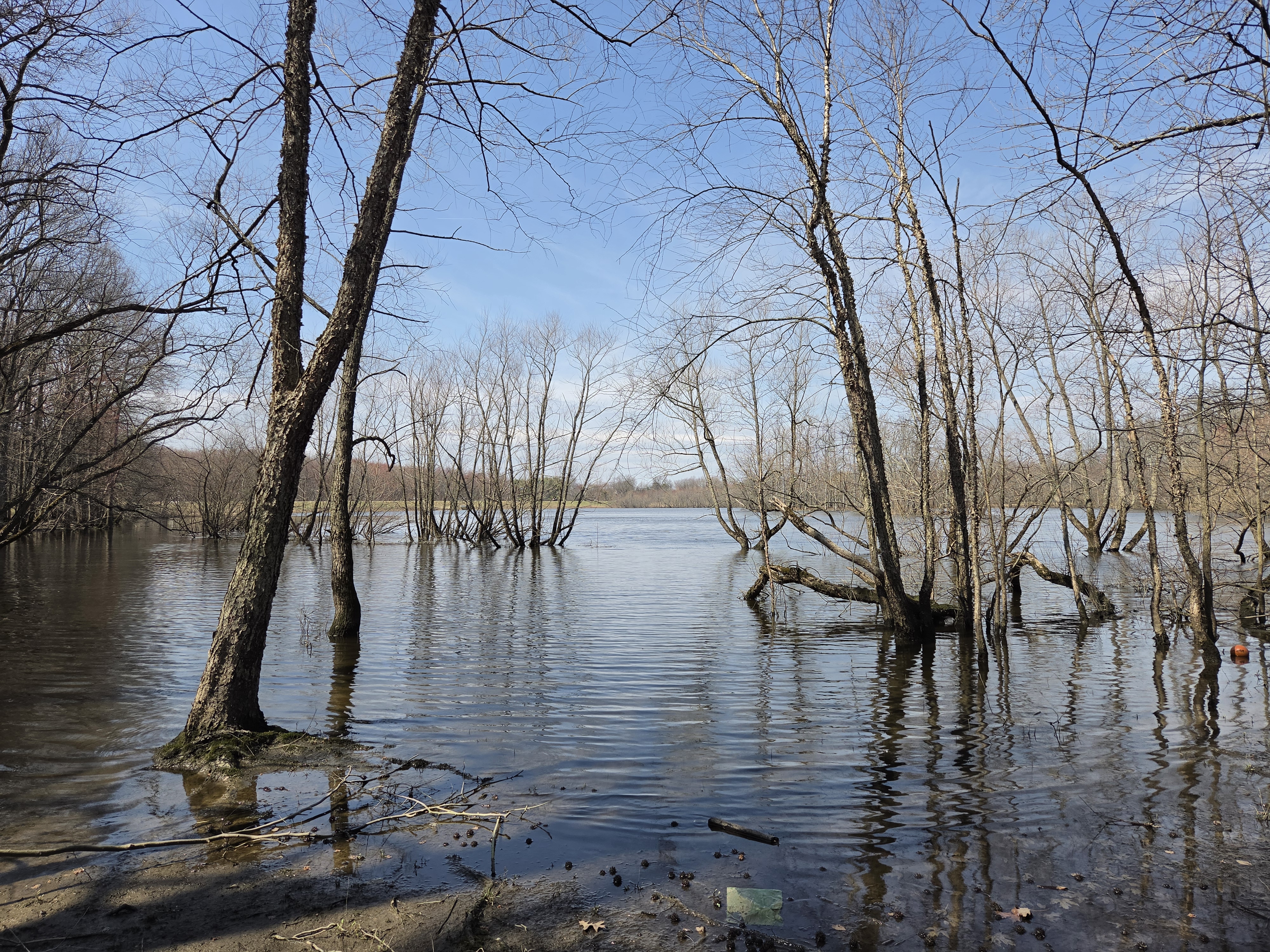 Samsung Galaxy S26 Plus camera samples