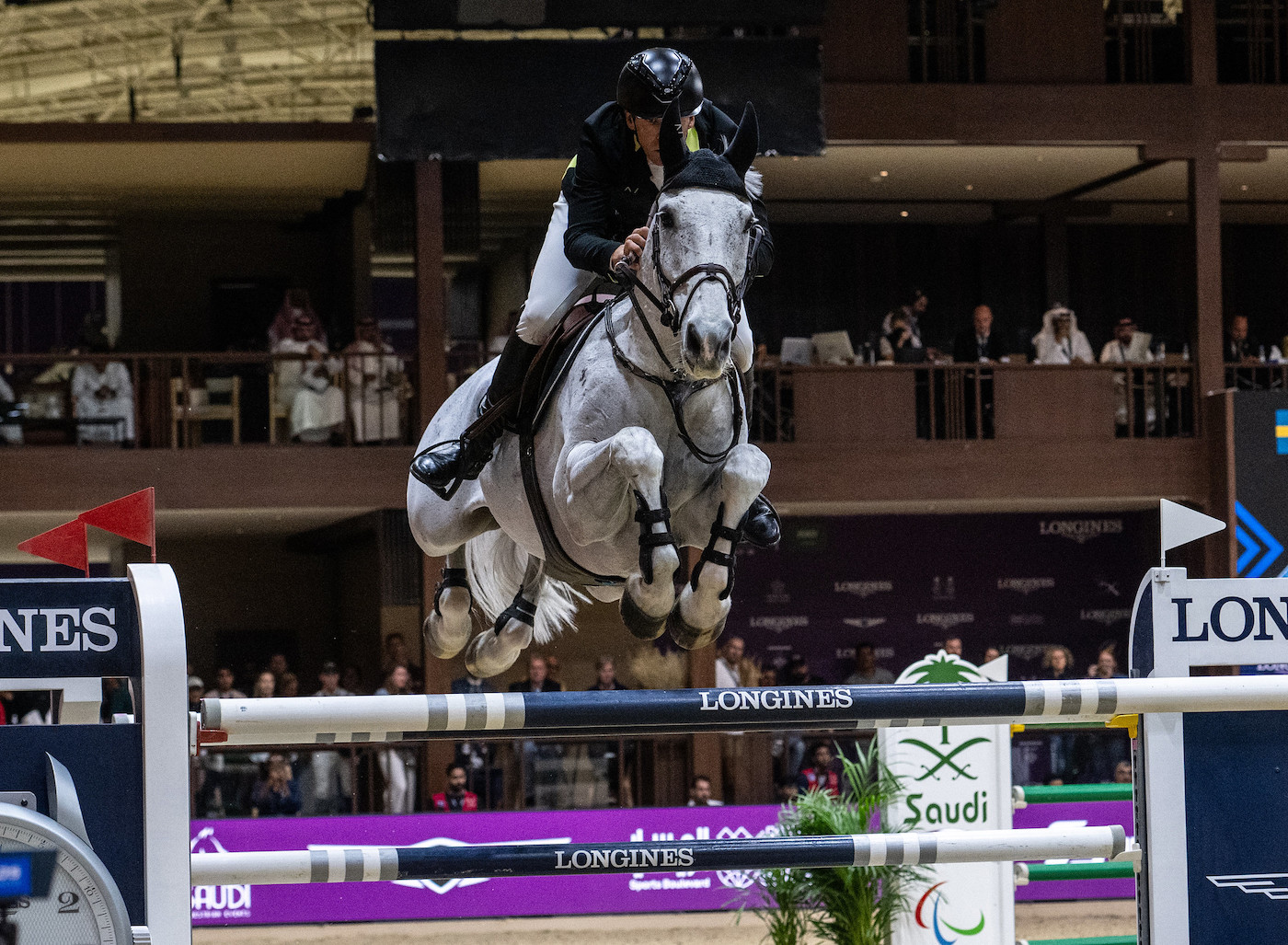 Catch Me Not, the 18 year old horse who finished third at the World Cup Finals with Peder Fredricson