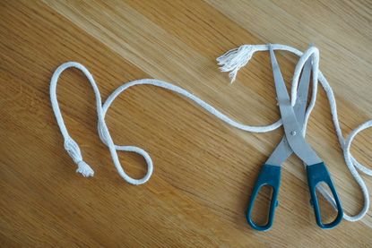 We Tried the DIY Self-Watering Planter Hack Using Rope | Livingetc