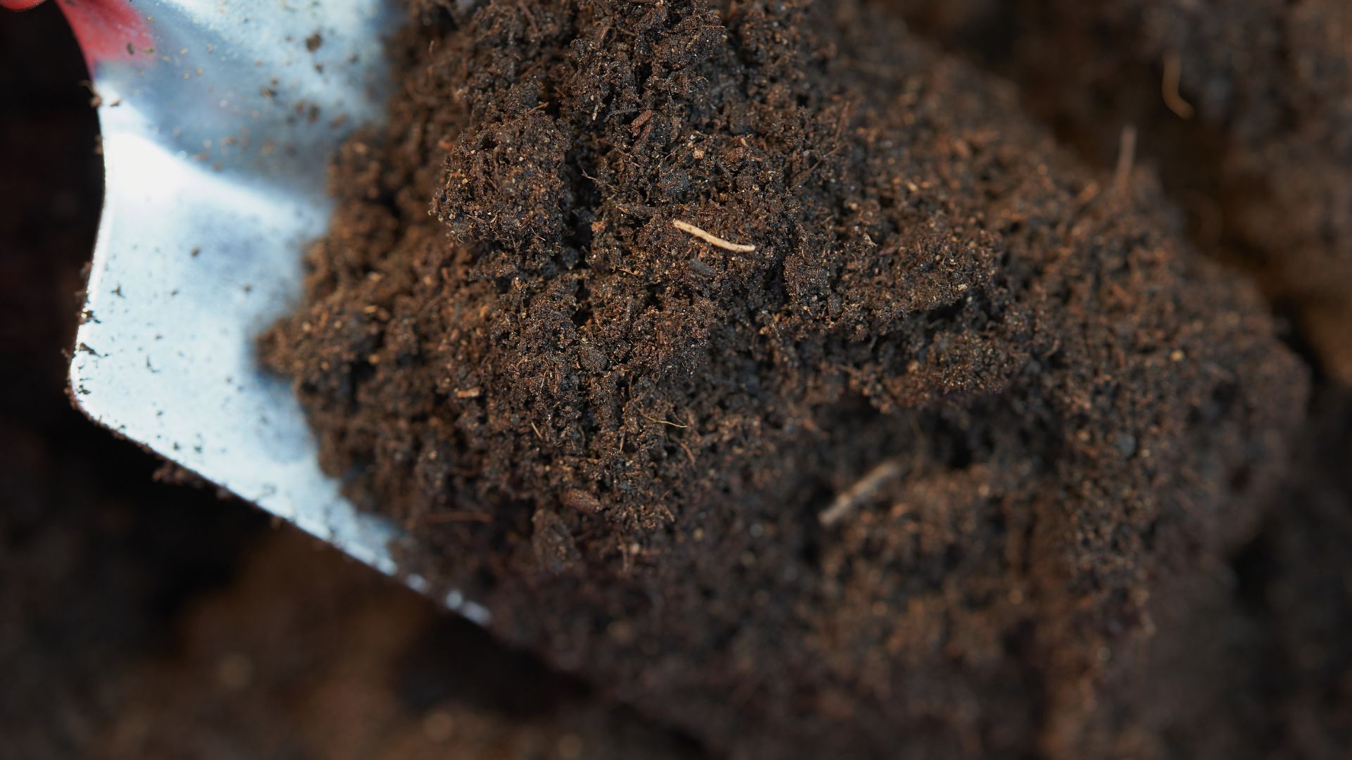 picture of potting soil on trowel