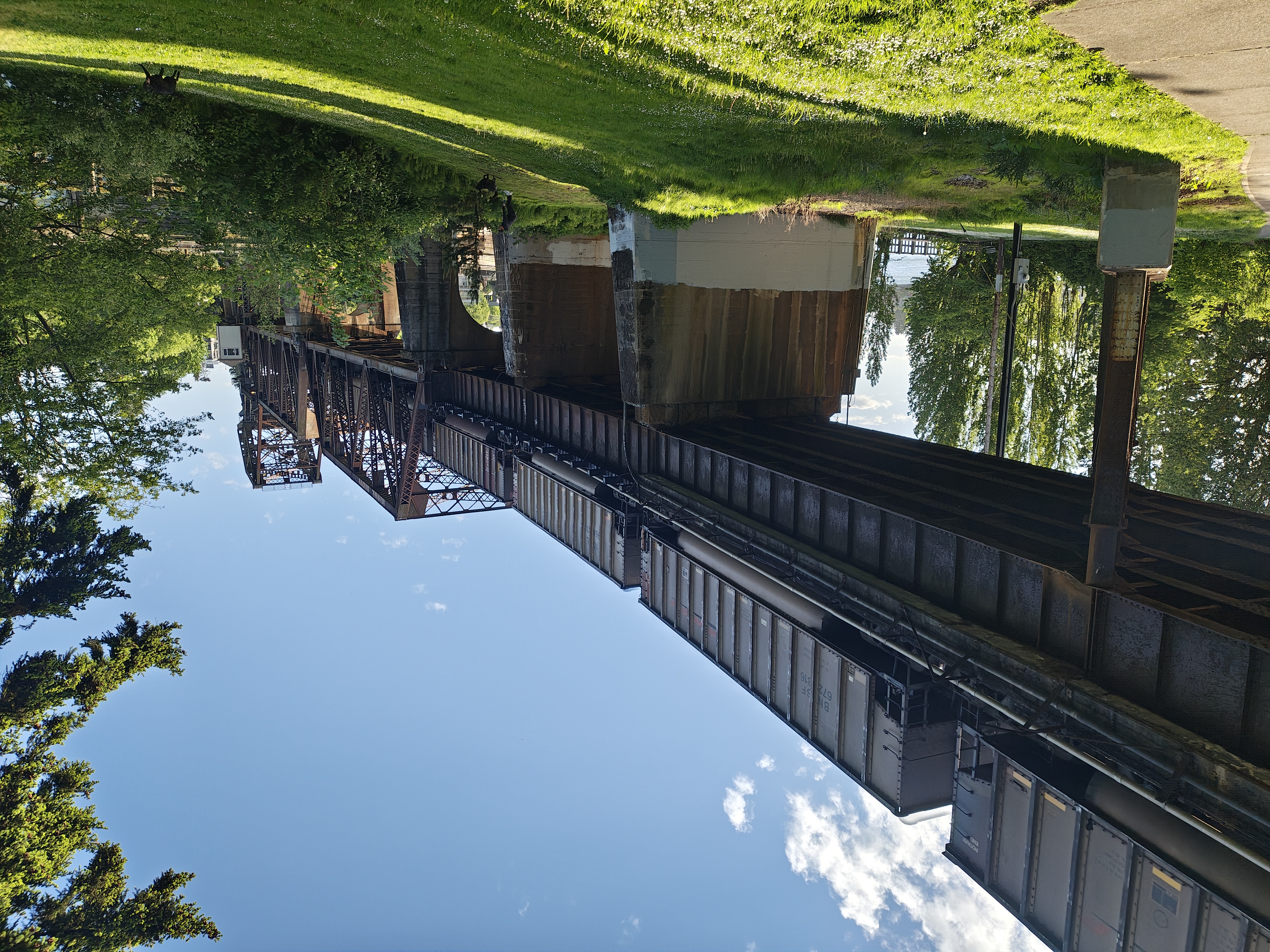 A train on a bridge