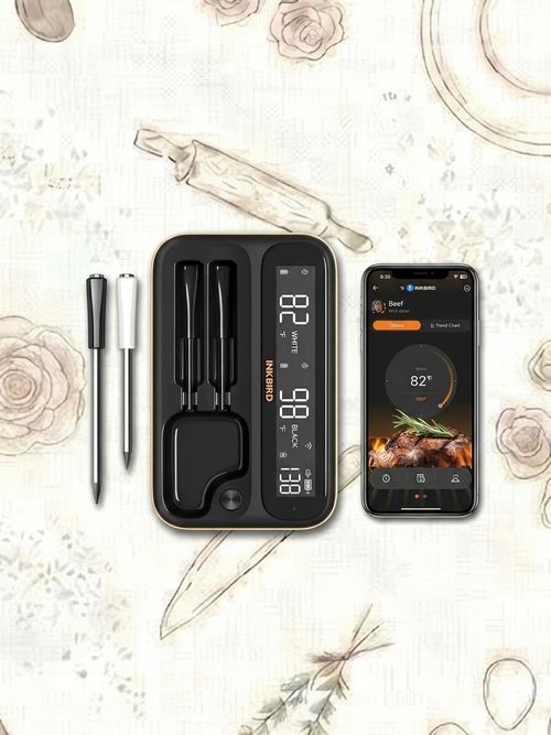 wireless bluetooth thermometer