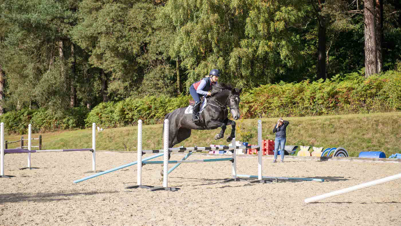 V poles on fence for horse jumping