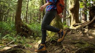 Woman's legs and hiking boots on trail route with dense trees behind her