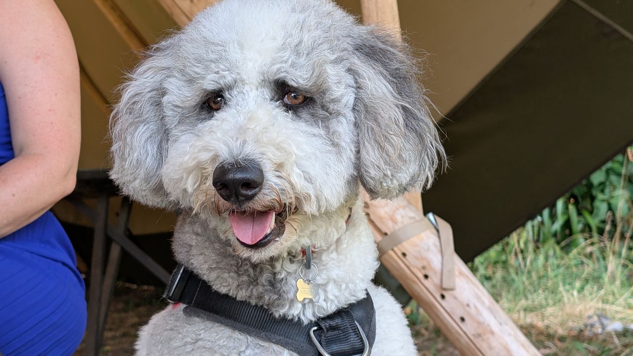 Google Pixel 9 Pro XL review camera sample