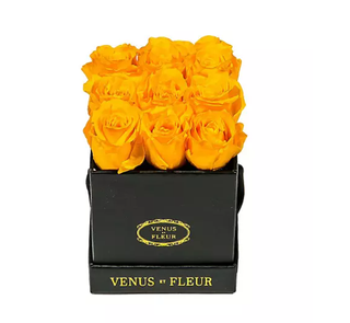 Venus ET Fleur Mini Square Classic Eternity Roses.