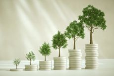 SEIS concept - trees growing out of money