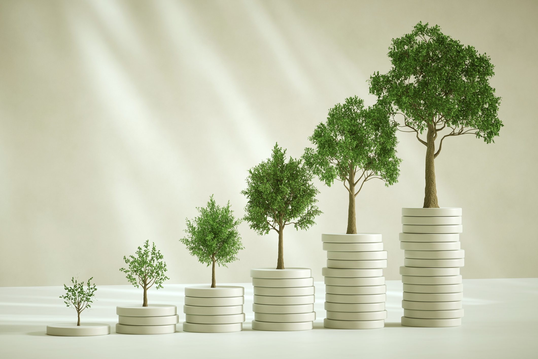 SEIS concept - trees growing out of money