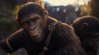 Noa (Owen Teague) in Kingdom of the Planet of the Apes