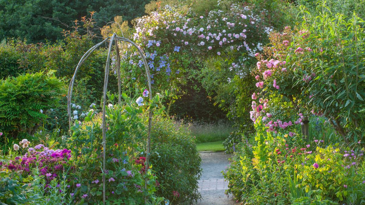 Rose garden ideas: 10 beautiful bloom-filled schemes | Gardeningetc