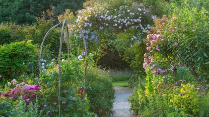 beautiful rose gardens