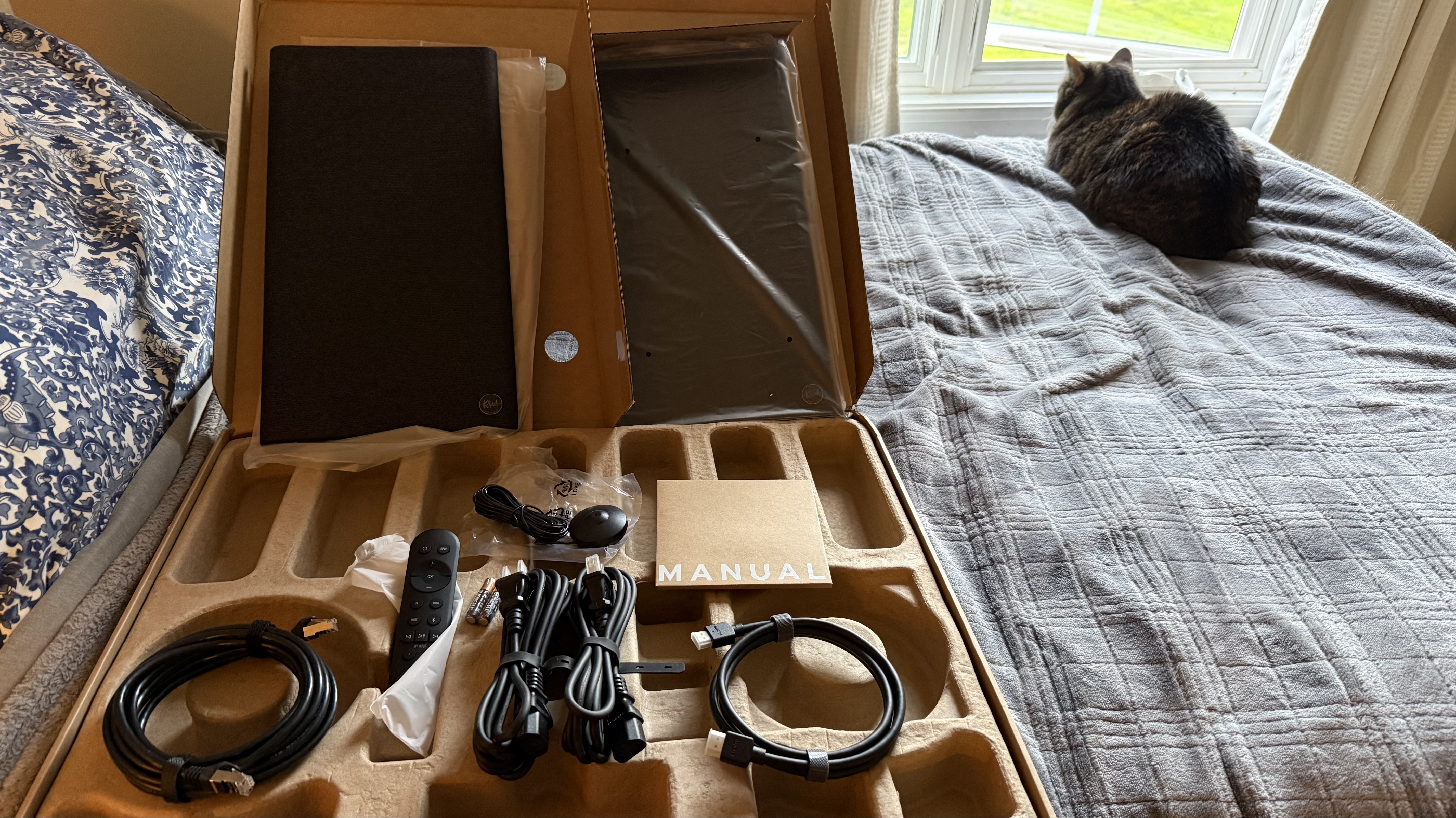 The Klipsch The Nines II do come with a number of accessories. Cat not included.