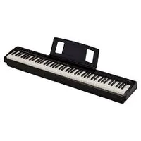 Roland FP-10