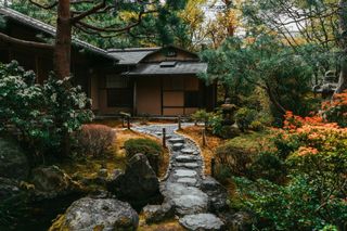 A Japanese garden with a stepping stone path