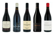 Pinot_Noir_Bottles2