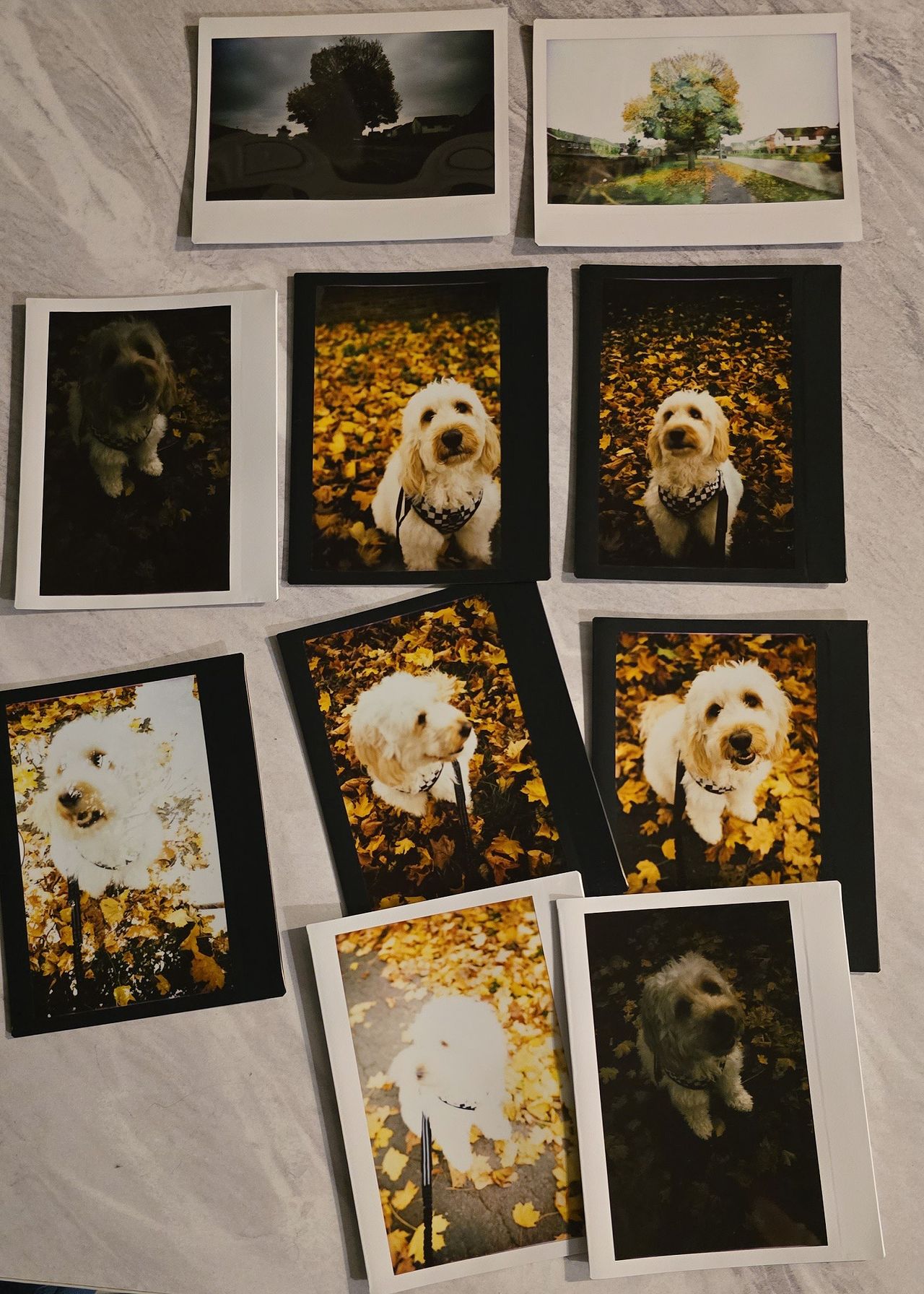 Lomo&rsquo;Instant Wide Glass sample images