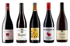 Rhone-Discoveries-Bottles