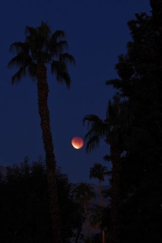 Jennie Rayner of Palm Desert, Calif. took this picture of the Dec. 10, 2011 total lunar eclipse from Palm Desert, Calif.