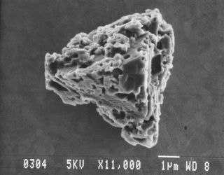 a small porous rock-like object under a microscope