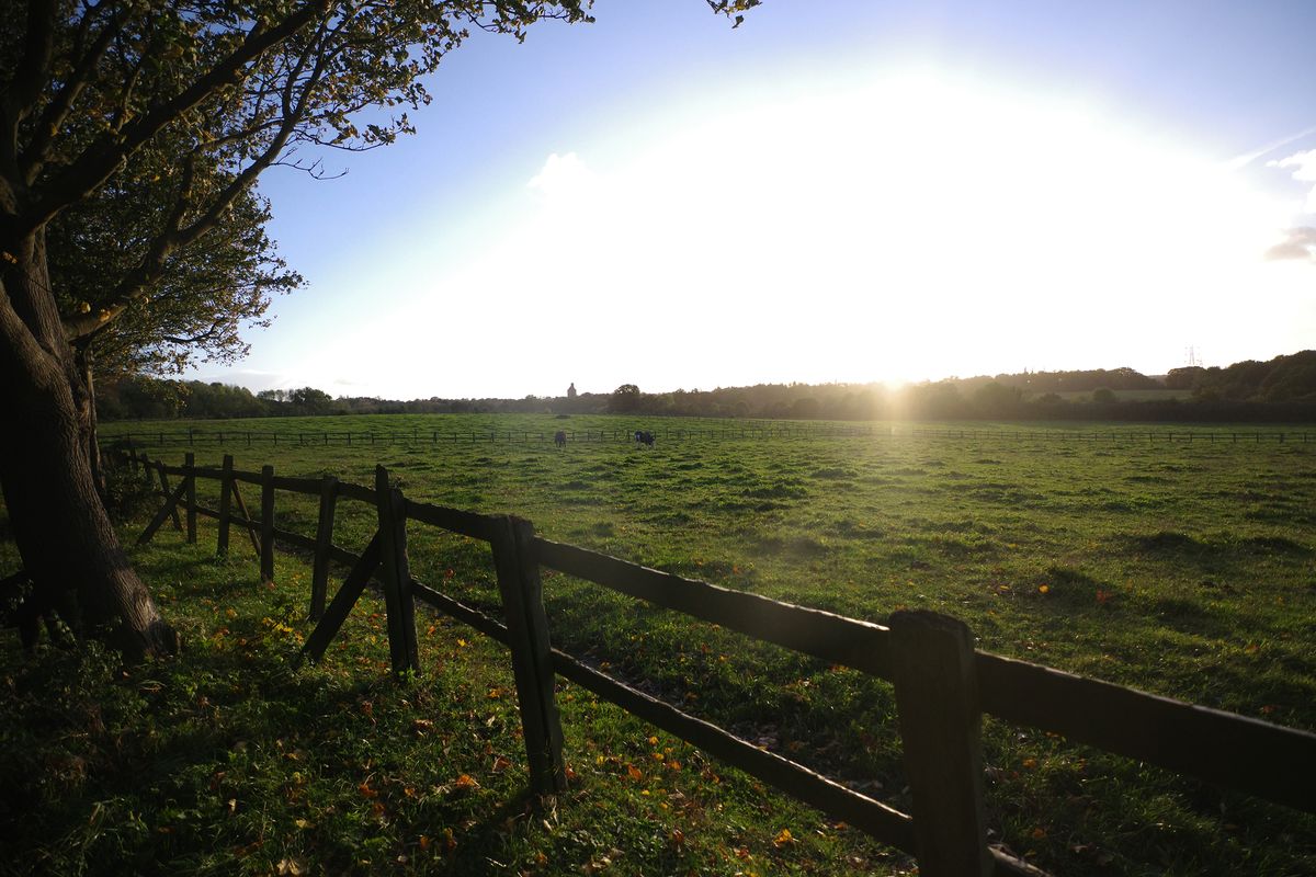 A shot of the countryside taken with the Pentax K-3 III camera, f/2.8, 1/8000, ISO 1600
