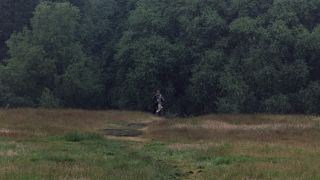 Screenshot of far-away Sir Lancelot running towards the camera from Monty Python and the Holy Grail