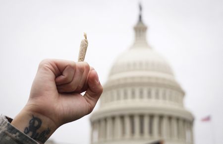 Hand holding joint in front of US Capitol dome