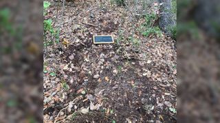 Here we see a small, rectangular chalkboard lying in the first on the forest floor denoting the site of a coin hoard.