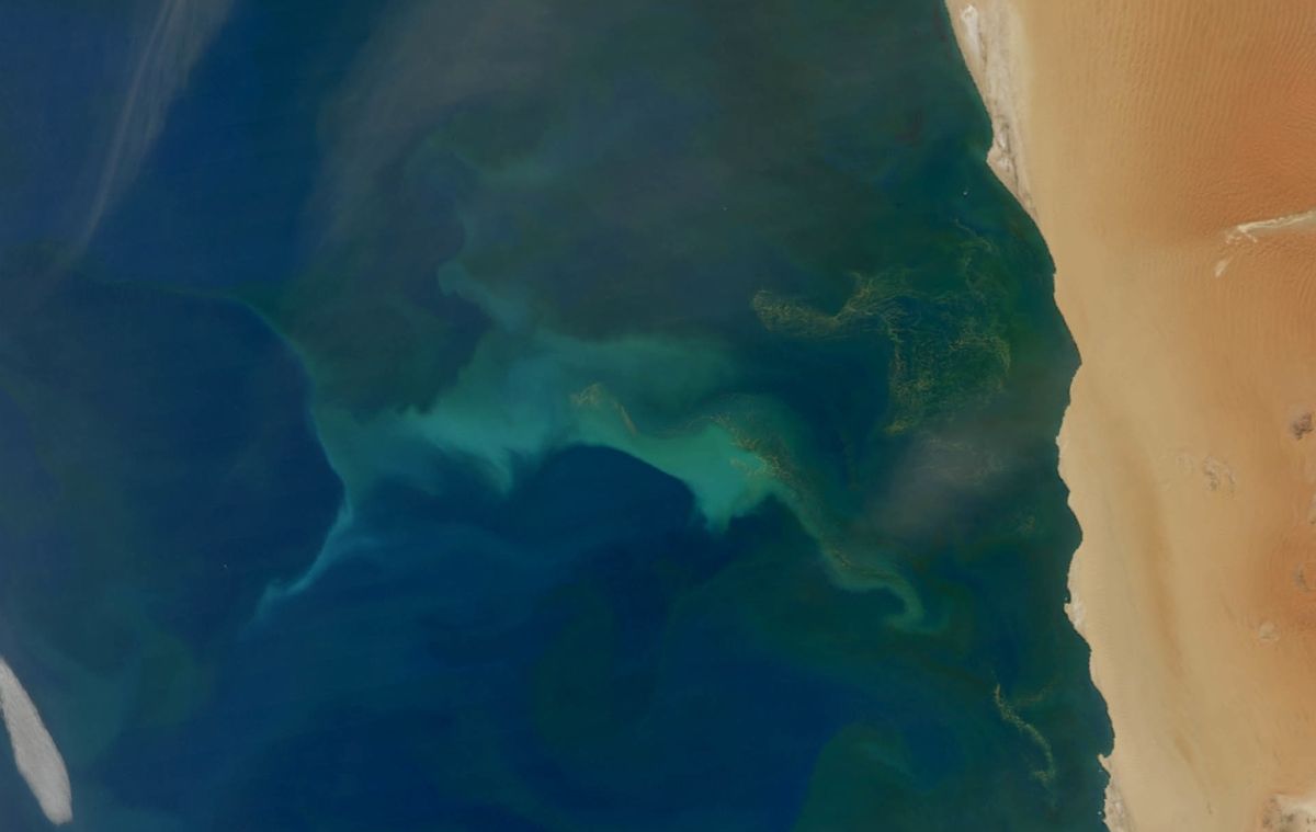 Itty-Bitty Algae Create Colorful Currents Near Namibia | Live Science