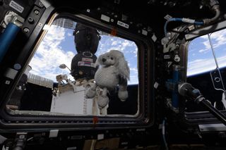 Expedition 54 zero-g indicators