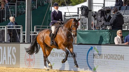 Hannah Horton and Its Lush top the 2026 Royal Windsor working hunter championship
