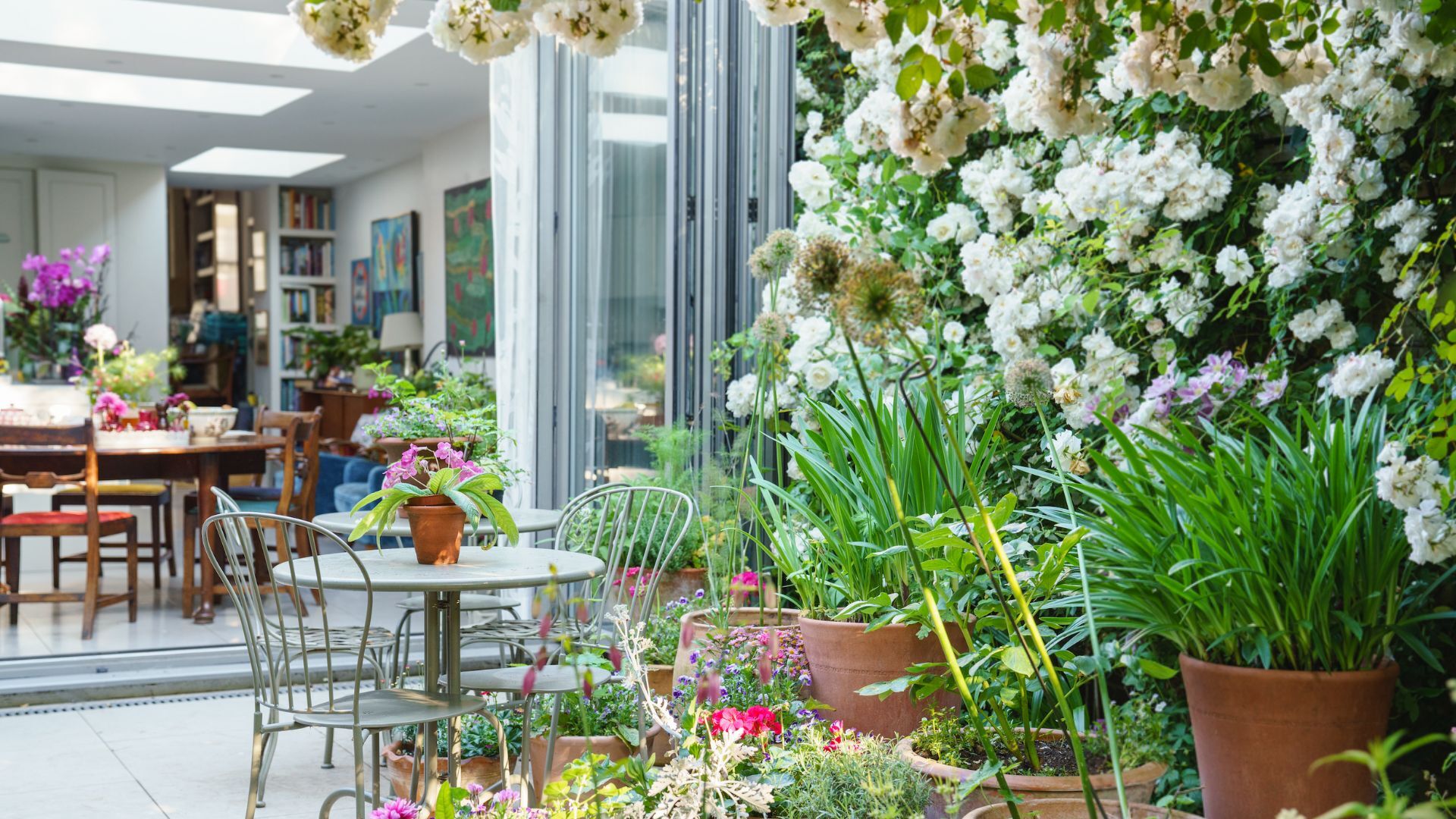 A city rose garden with a view to the kitchen