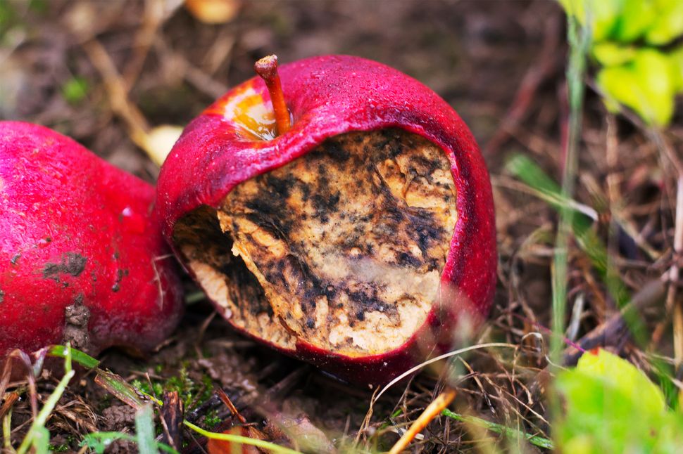 Apple Has a Major Quality Control Problem Tom's Guide