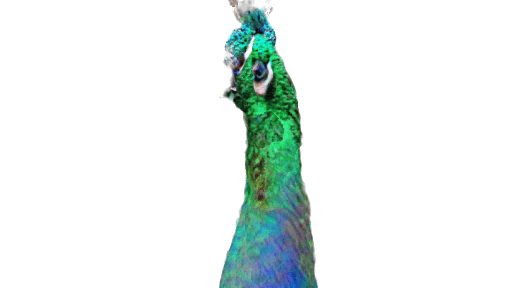 Text-to-3D generative AI; a 3D model of a peacock head