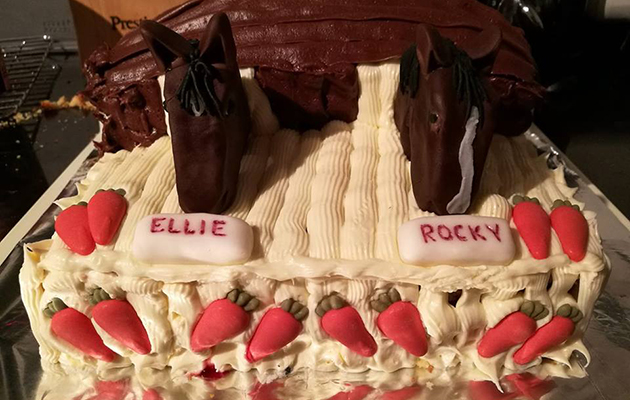&amp;ldquo;We had a horsey birthday party at the weekend (more for the adults than the horses of course!) It wouldn&amp;rsquo;t have been complete without a cake&amp;rdquo; &amp;mdash; Ally Dean