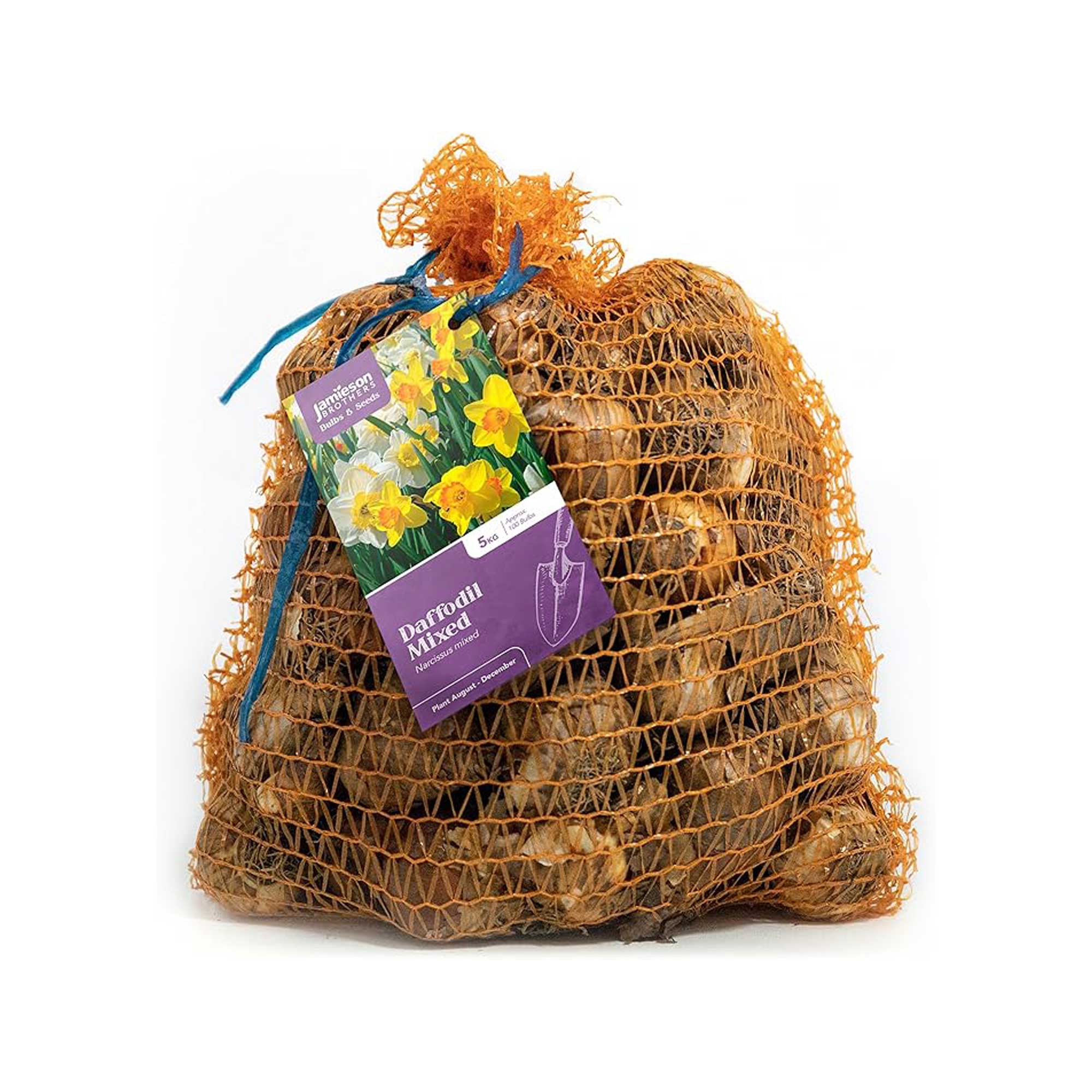 Jamieson Brothers mixed daffodil bulbs